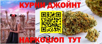 шишки Новозыбков